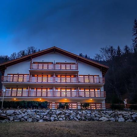 ホテル Panorama Pietrei Craiului Zărneşti エクステリア 写真
