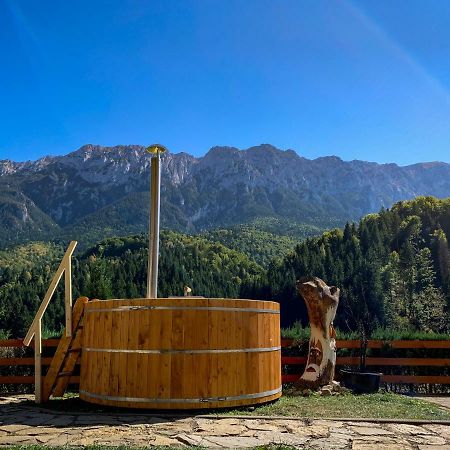 ホテル Panorama Pietrei Craiului Zărneşti エクステリア 写真
