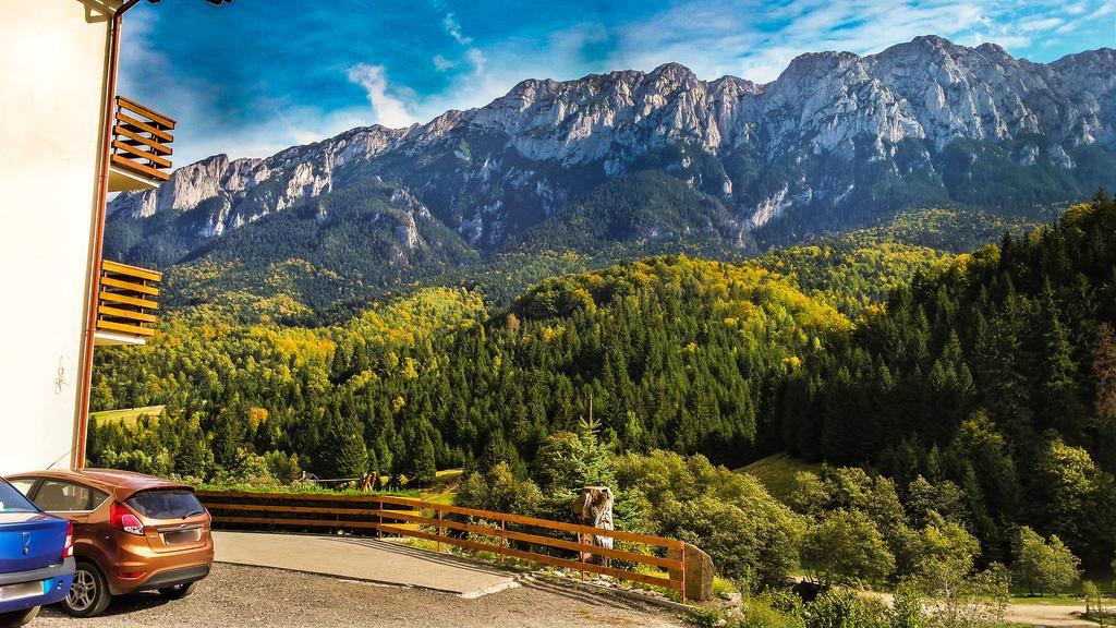 ホテル Panorama Pietrei Craiului Zărneşti エクステリア 写真
