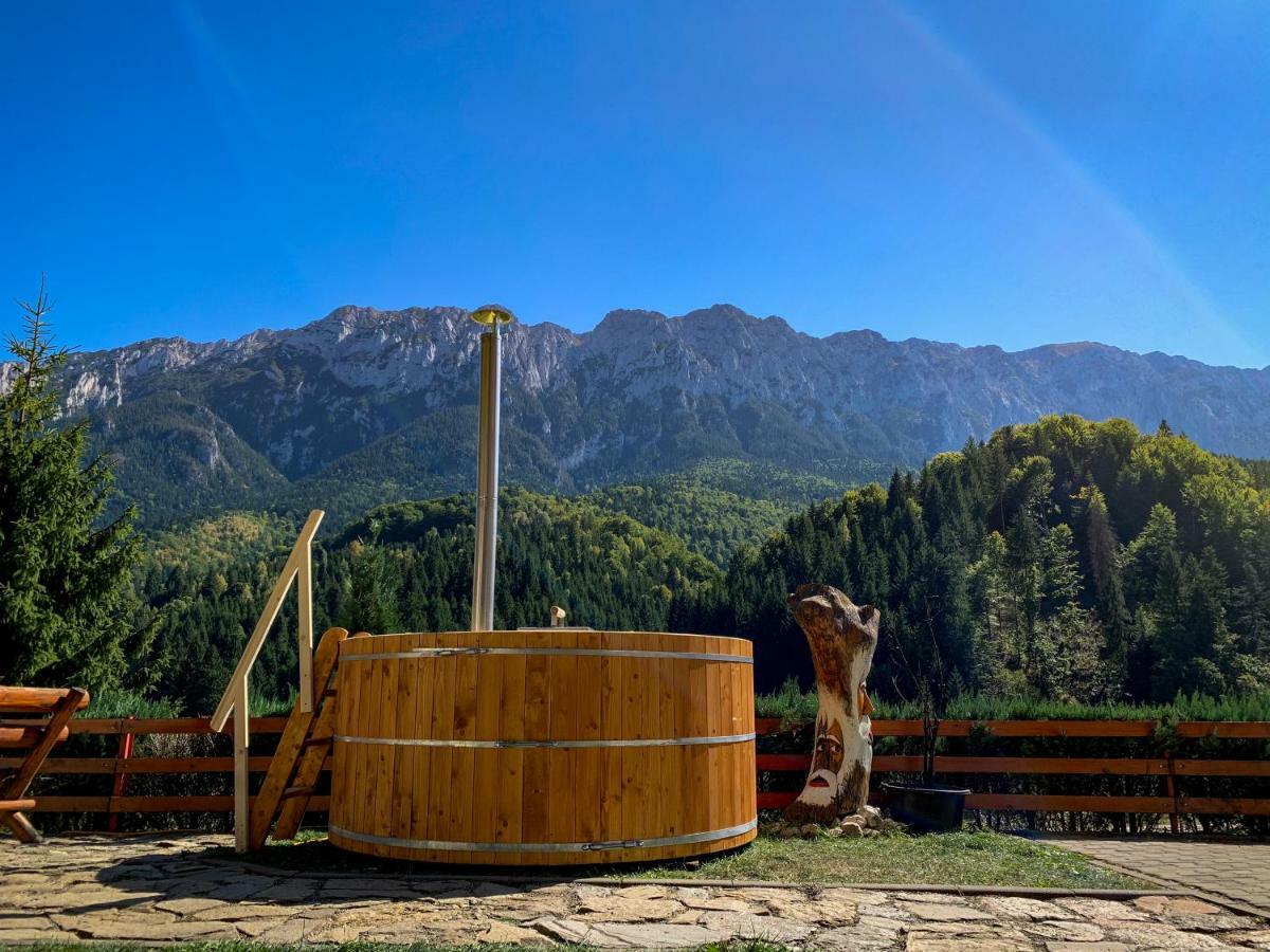 ホテル Panorama Pietrei Craiului Zărneşti エクステリア 写真